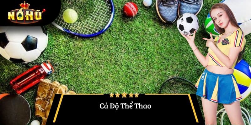 Cá Độ Thể Thao