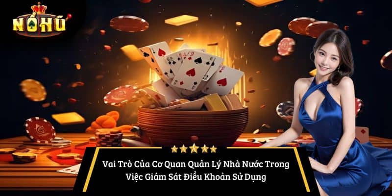 Vai Trò Của Cơ Quan Quản Lý Nhà Nước Trong Việc Giám Sát Điều Khoản Sử Dụng